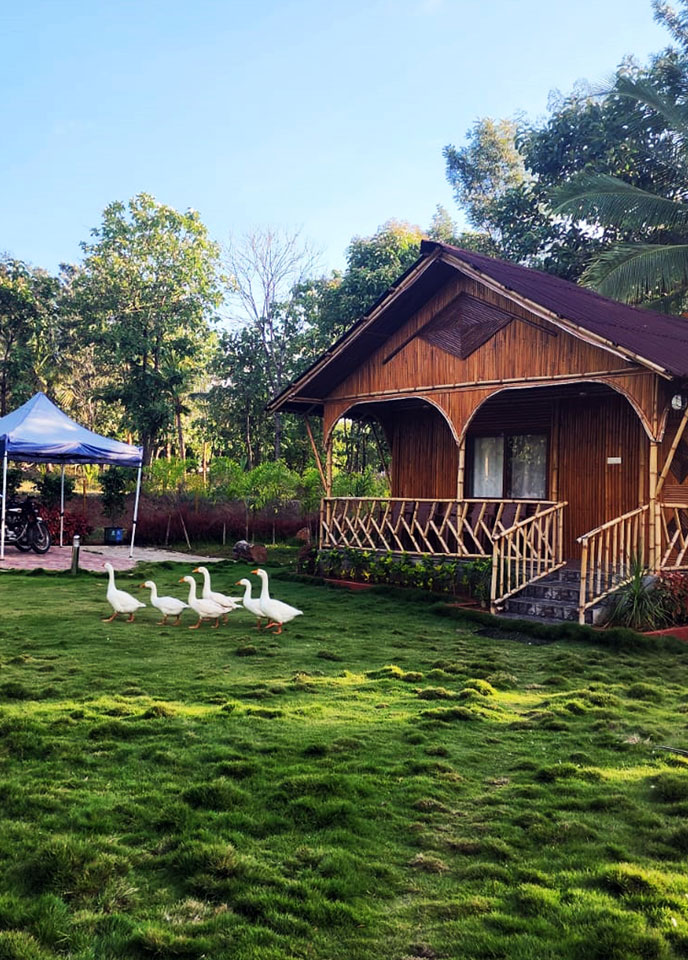 Arinaa Country Farms