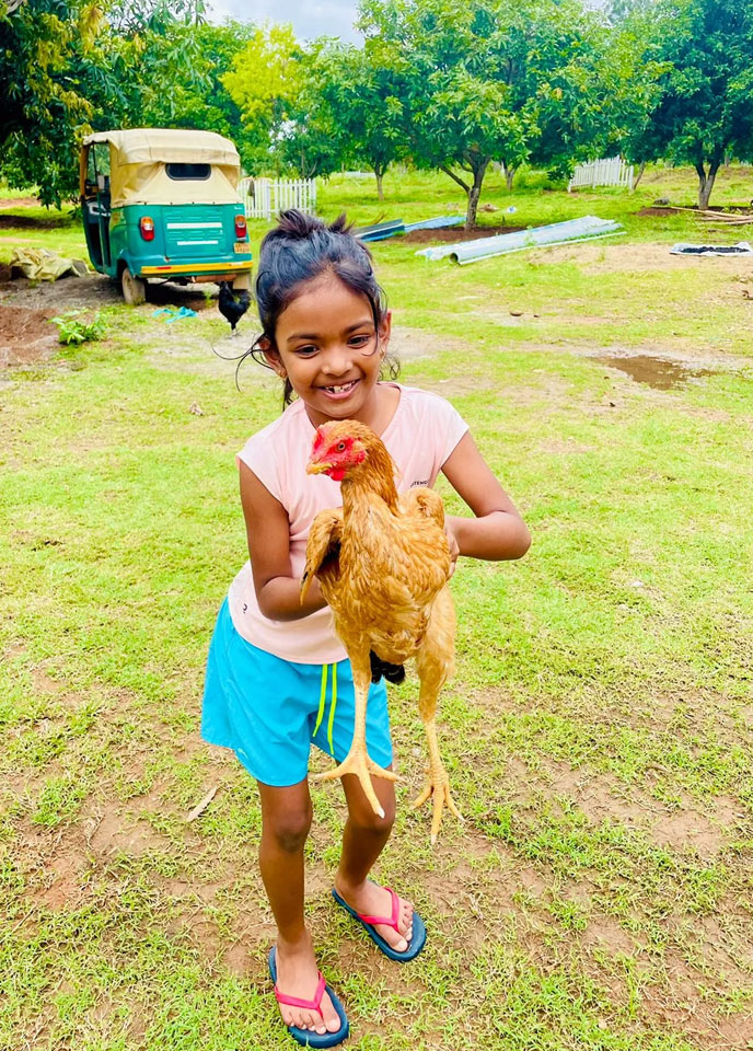 Arinaa Country Farms