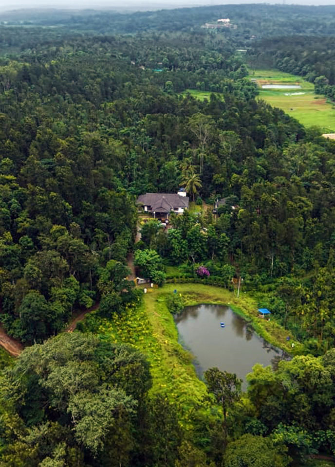 Ayana - Estate Bungalow That Breathes Serenity