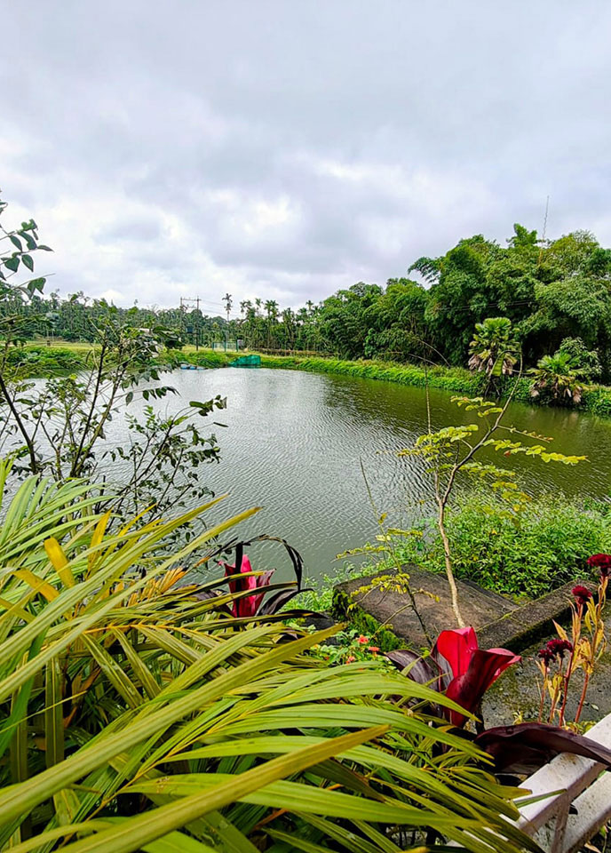 Ayana - Estate Bungalow That Breathes Serenity
