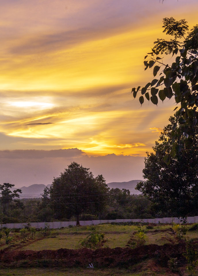 Bellevuee - A Sustainable Farmland Community