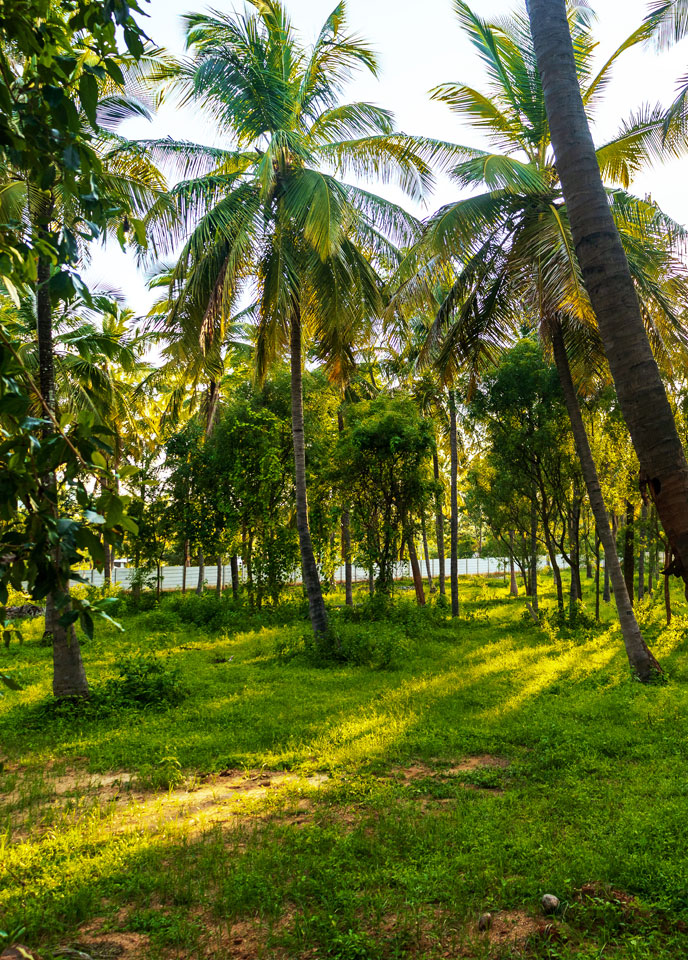 Bellevuee - A Sustainable Farmland Community