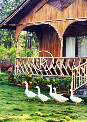 Arinaa Country Farms